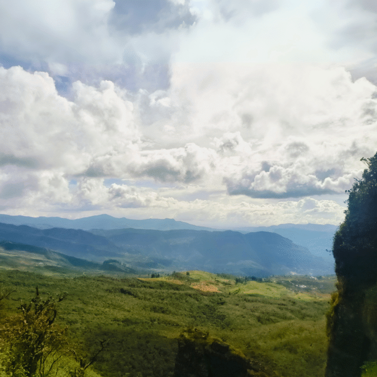 Green landscapes along Chariot Path trekking route