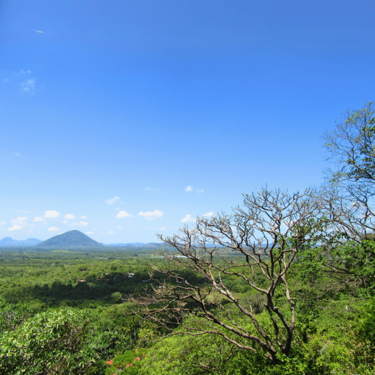 Golden Temple of Dambulla with ancient architecture