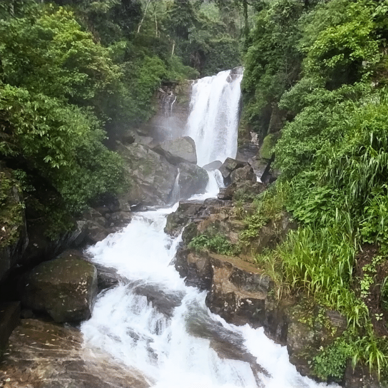 scenic view of Devathura Ella surrounded by tropical forest