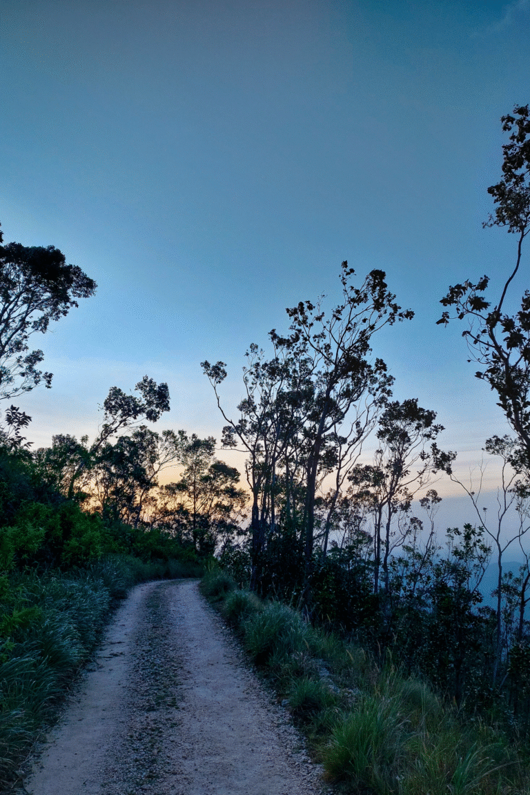 Scenic view of Devil’s Staircase hiking trail in Sri Lanka