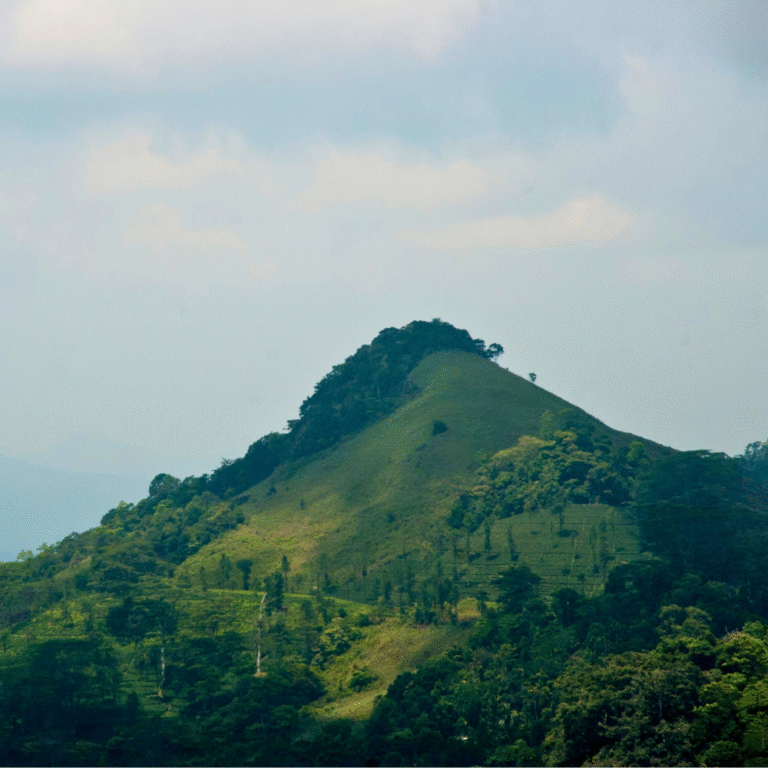 Green landscapes of Dolosbage Sri Lanka