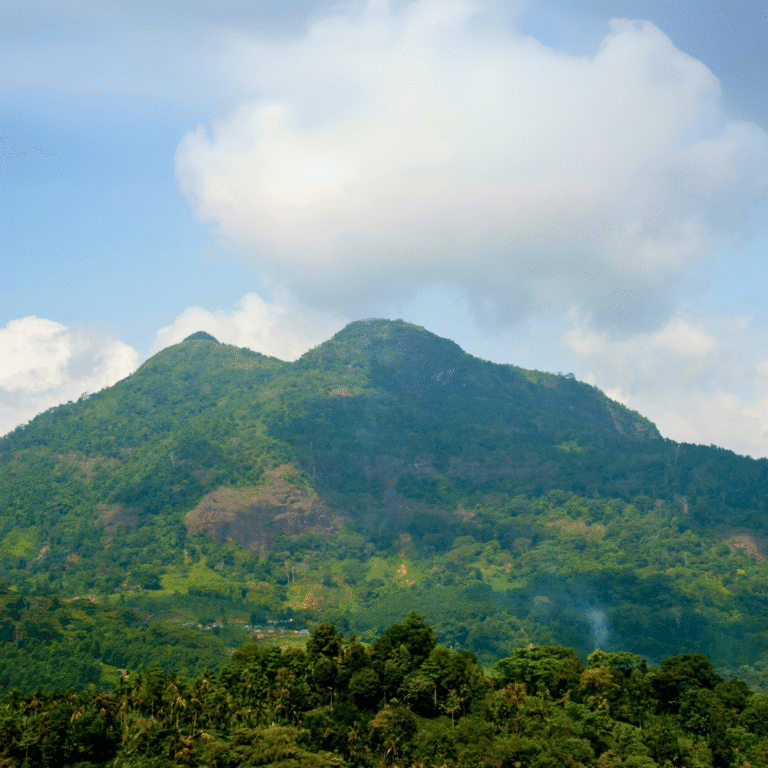 Misty mountains of Dolosbage hill country