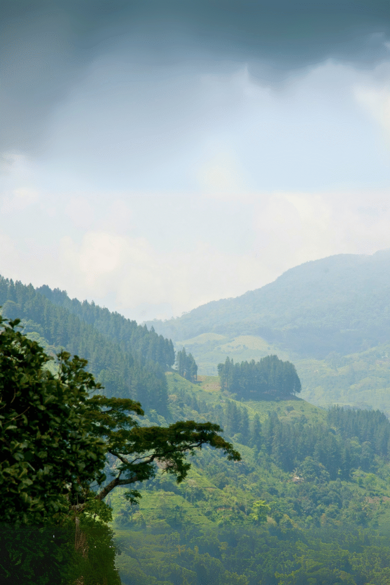 Scenic view of Dolosbage hills and valleys