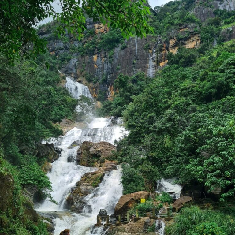 Scenic view of Ravana Falls surrounded by lush forest