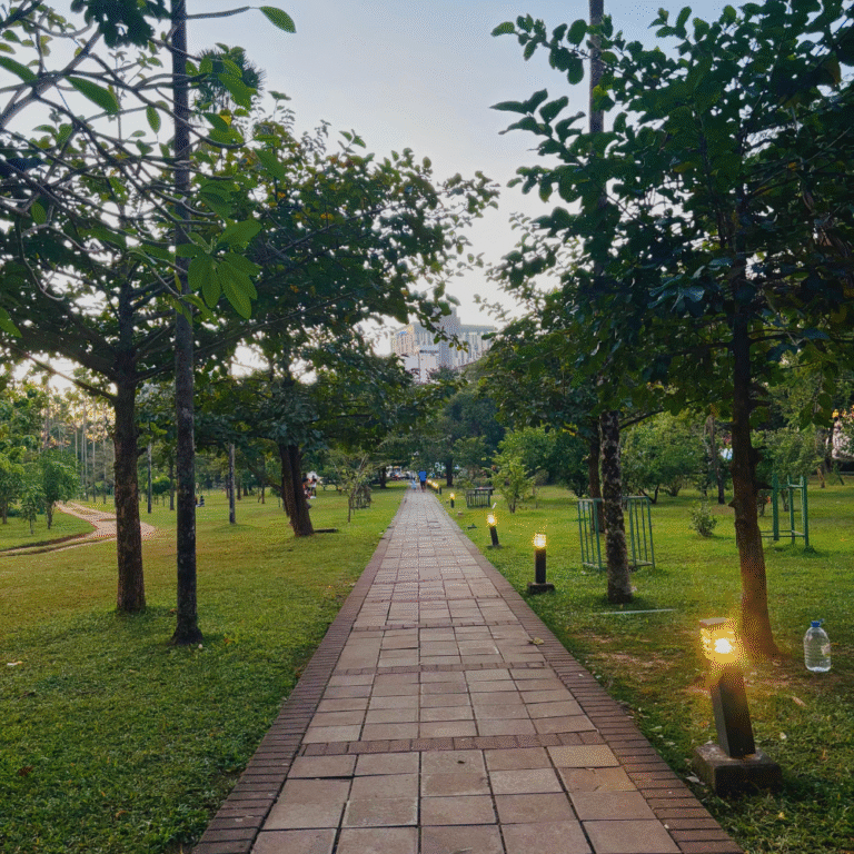 Green lawns perfect for picnics at Viharamahadevi Park
