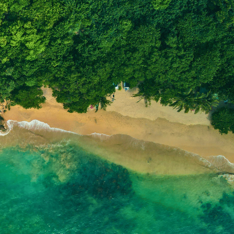 Japanese Peace Pagoda Galle with coastal landscape