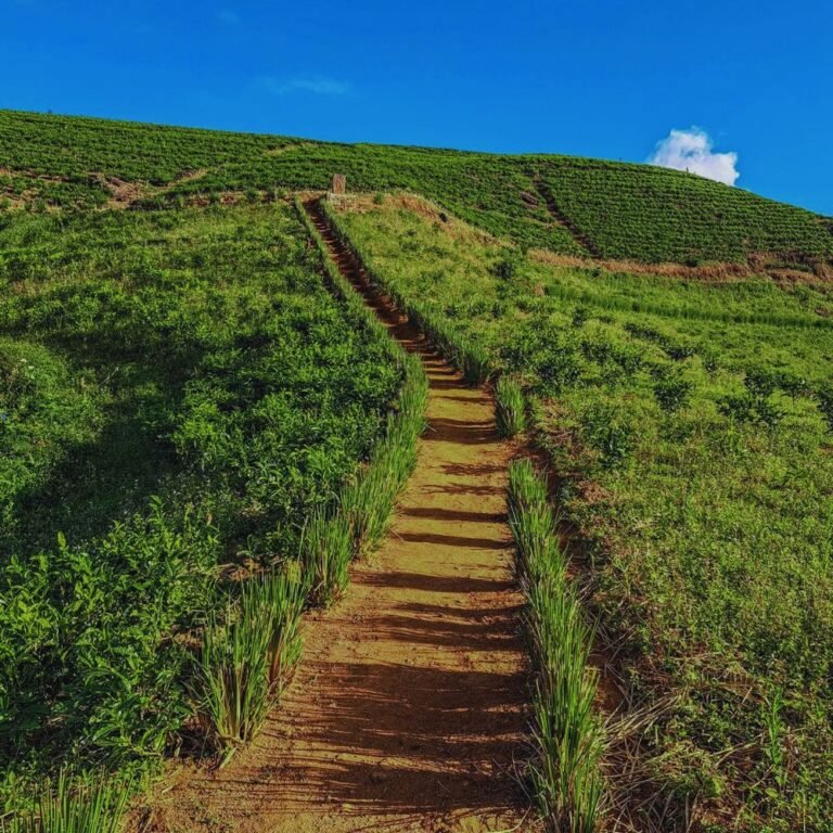 Tall waterfall surrounded by rainforest at Gerandigini Ella