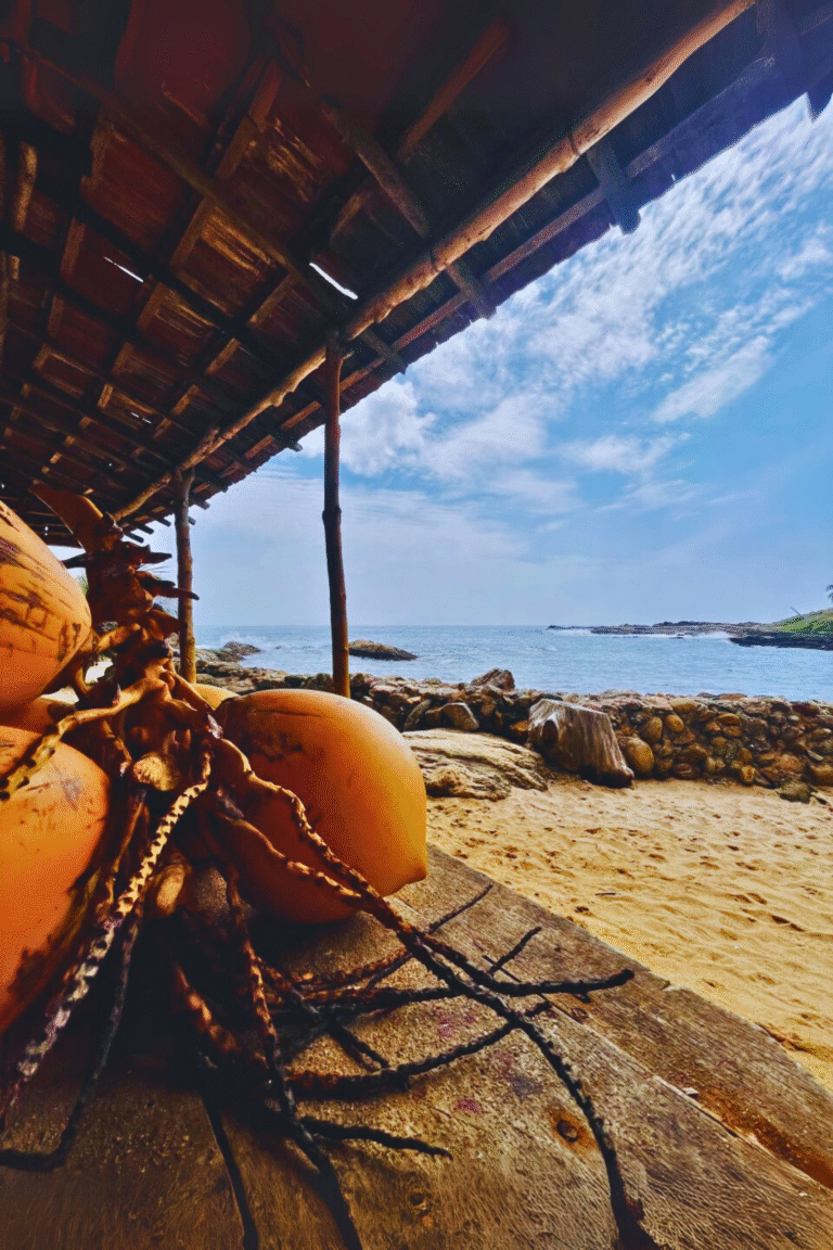 Relaxing on the soft sand of Goyambokka Beach