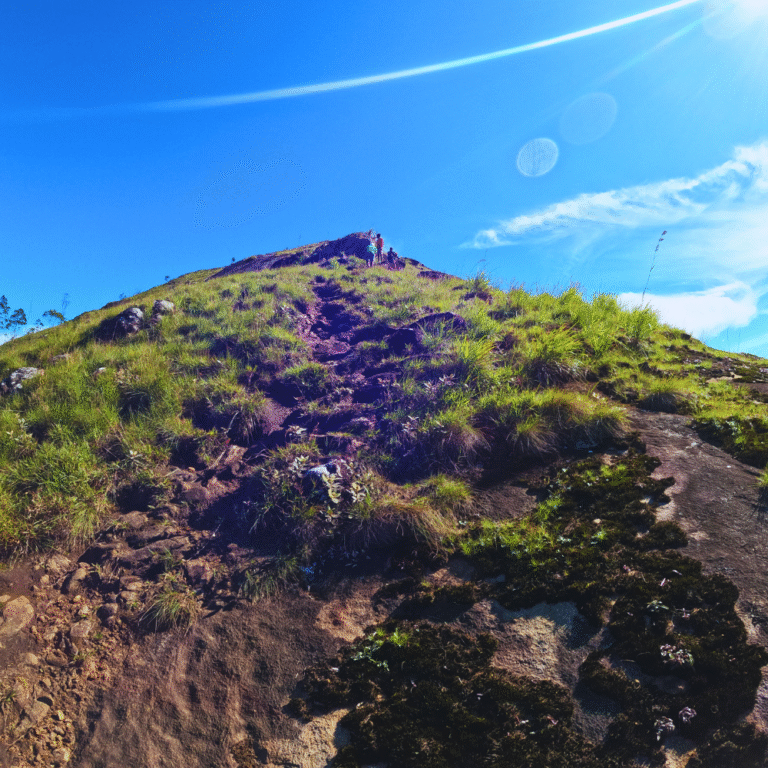 Panoramic landscape of Haritha Kanda mountain range
