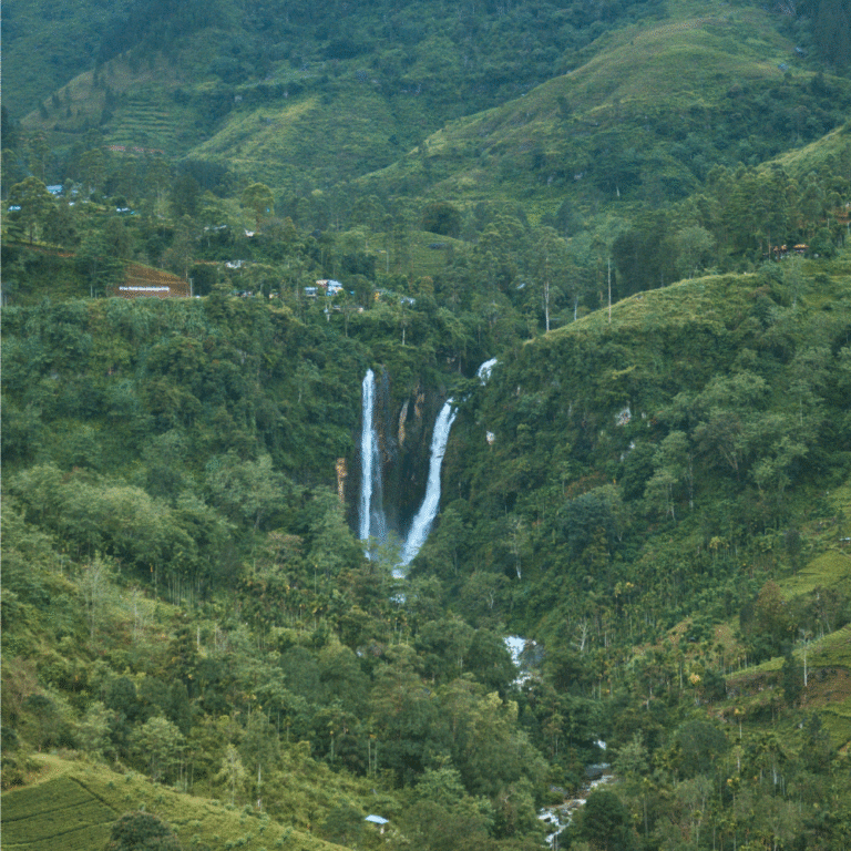 Puna Ella waterfall surrounded by tropical forest