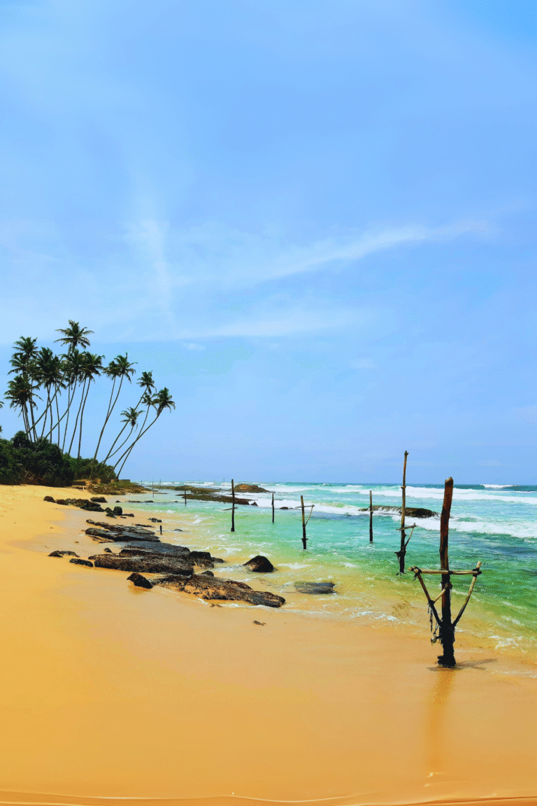 Traditional stilt fishing in Koggala