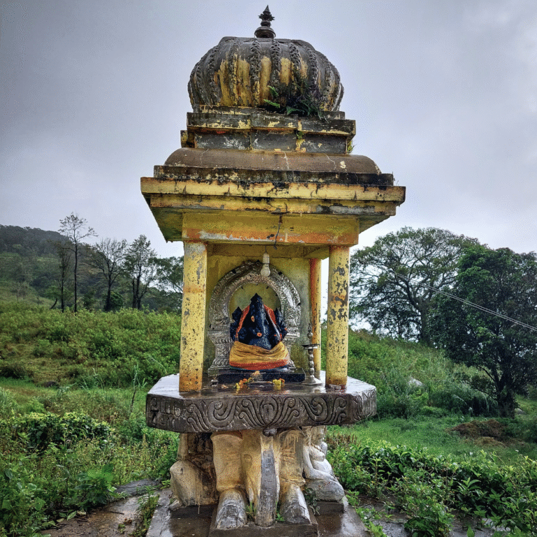 Lush green surroundings around Kondagala trail