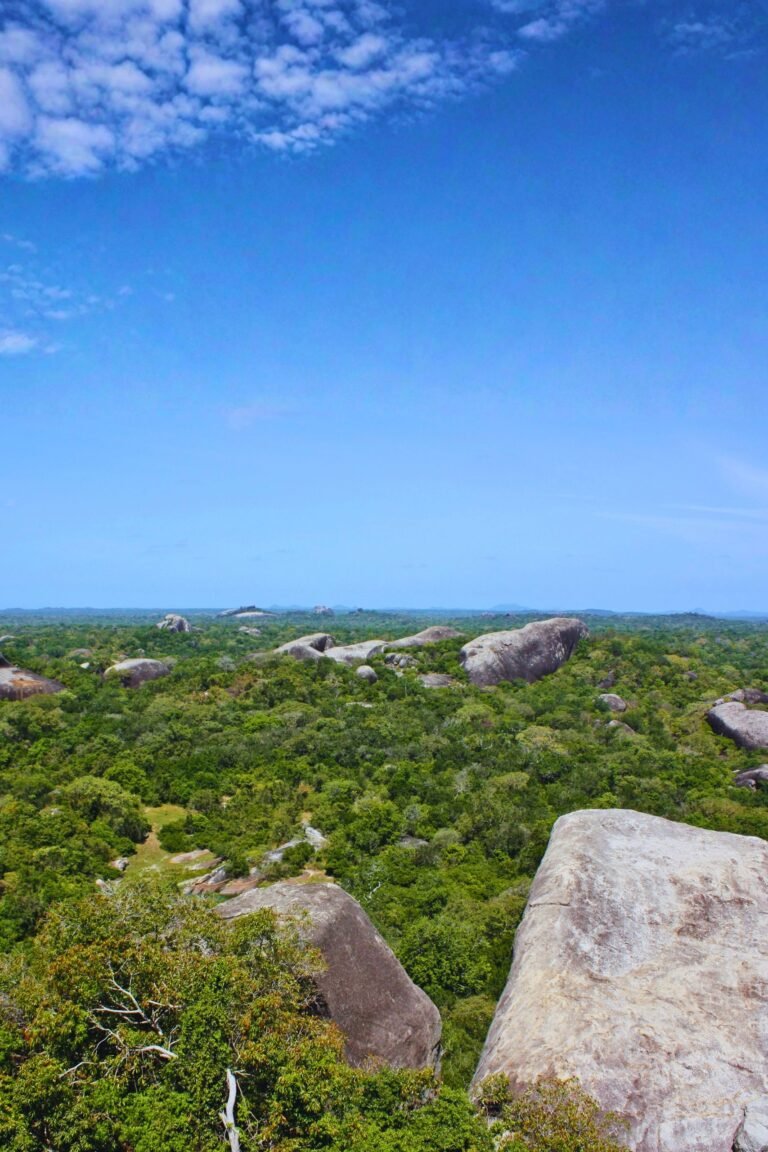 Kudumbigala Sanctuary ancient rock monastery landscape