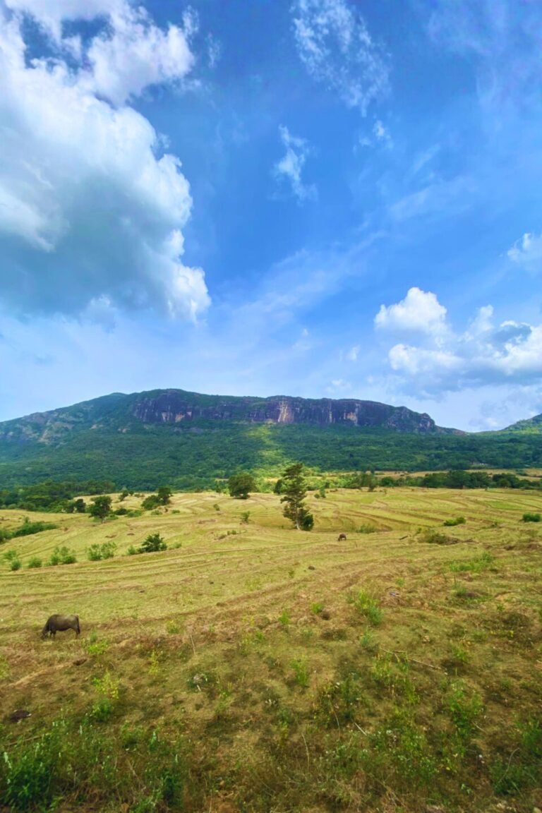 adventurous climb on Manigala rock