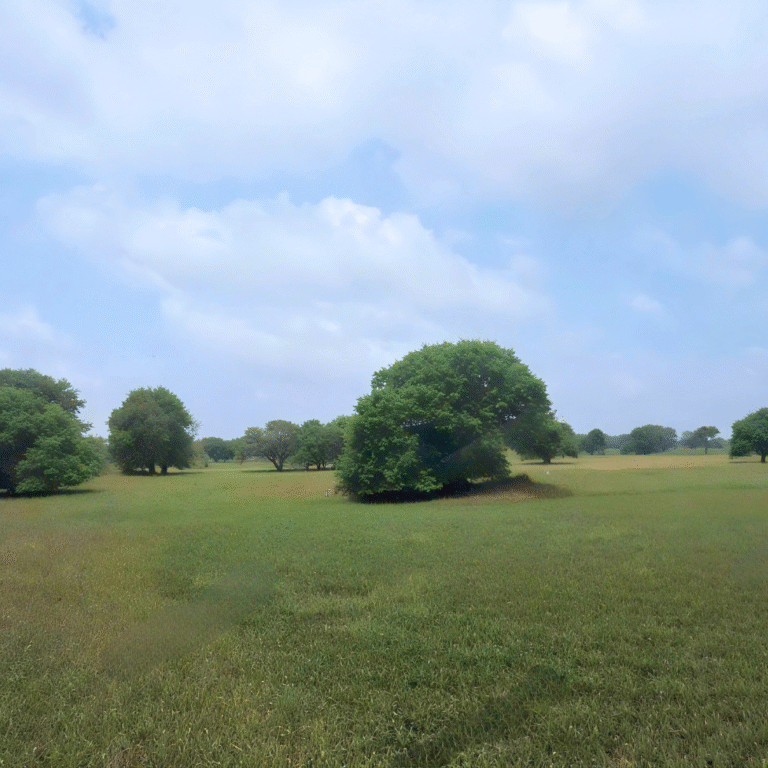 Wetland ecosystem at Anawilundawa Bird Sanctuary
