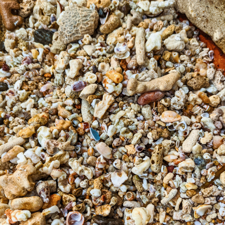 tropical paradise at Mihiripanna Beach