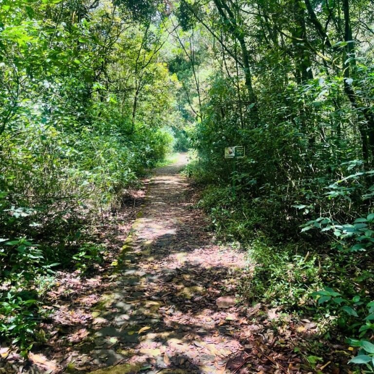 adventure hiking path leading to Salagama Mini World’s End