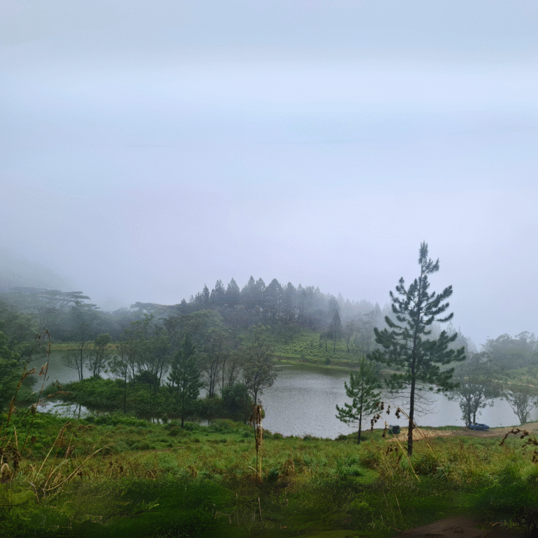Mutukelina Wewa surrounded by lush greenery