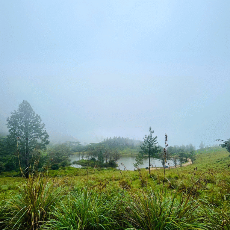 Scenic view of Mutukelina Wewa lake in Sri Lanka