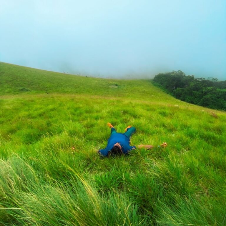 Trekking path leading to the summit of Narangala Mountain