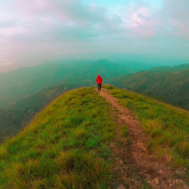 Campers enjoying the misty morning at Narangala viewpoint