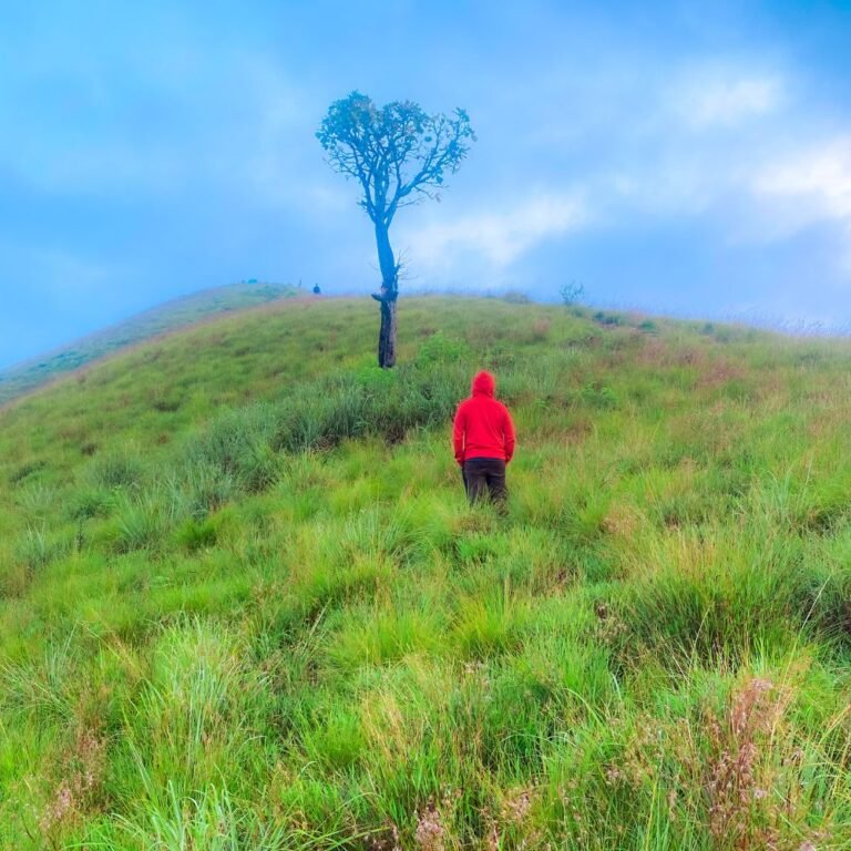 Adventure travelers hiking through Narangala mountain trails