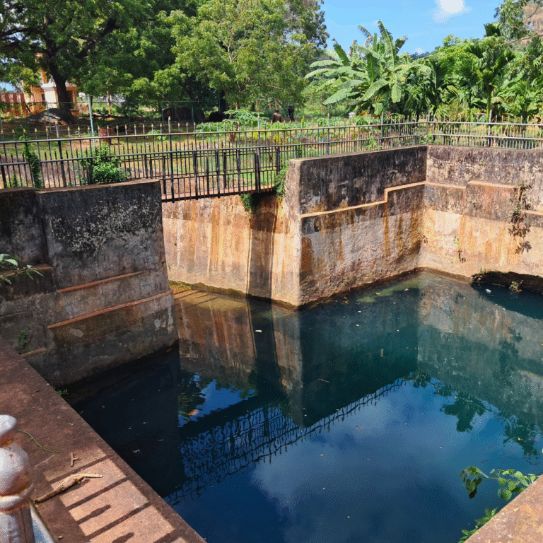 Scenic view of Nilavarai Well surrounded by greenery