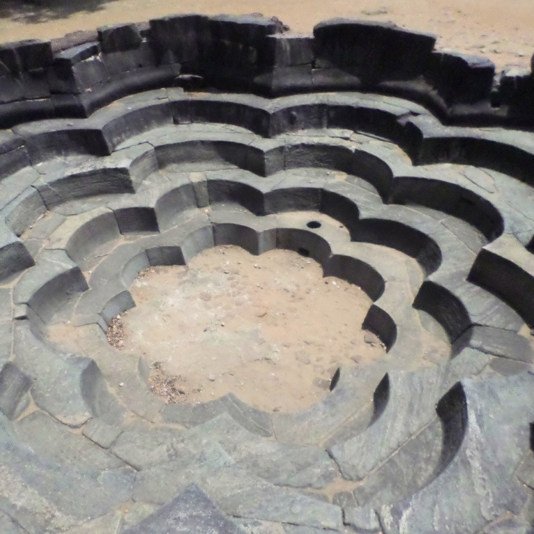 Heritage site Lotus Pond Polonnaruwa view