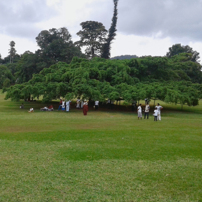 Tourists exploring Peradeniya Botanical Garden near Kandy