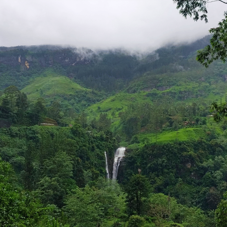 Lush greenery around Puna Ella Falls