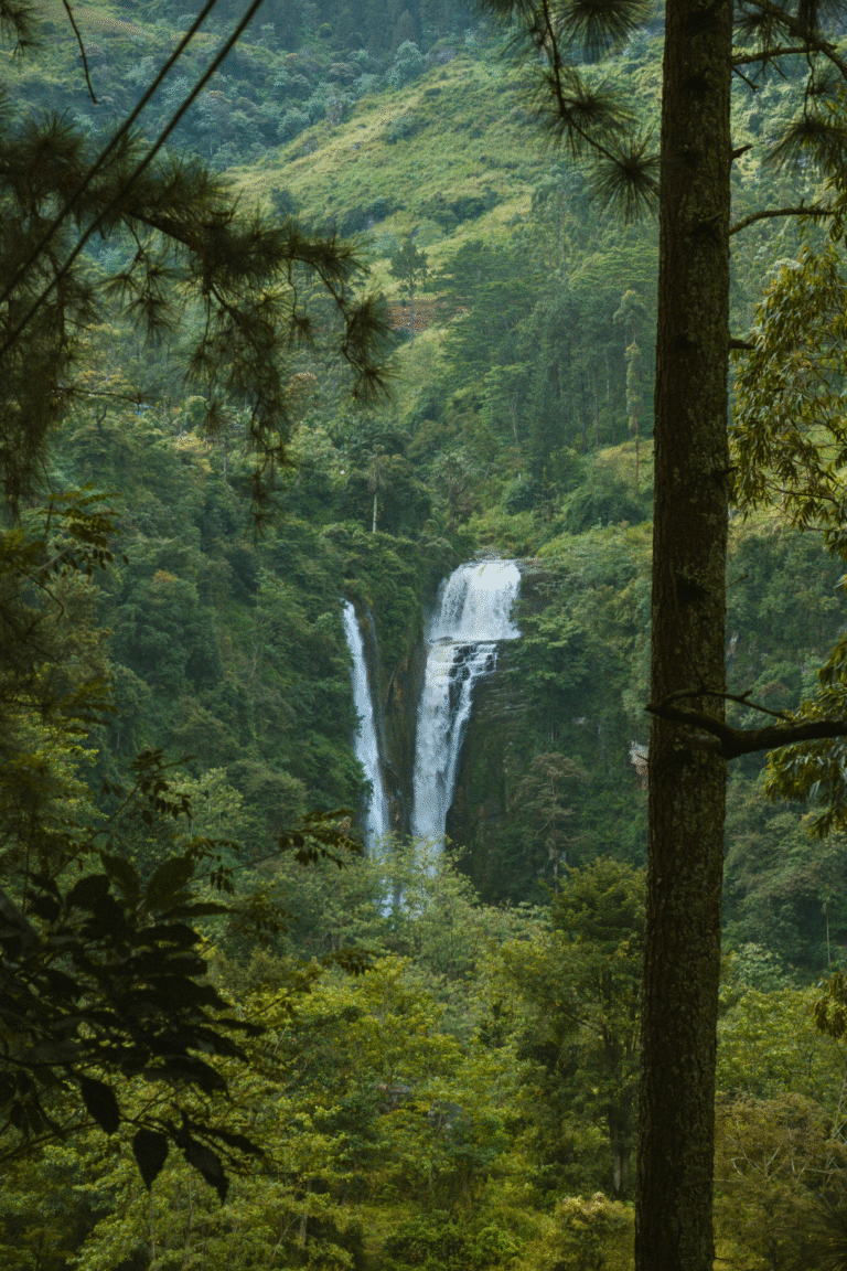 Stunning nature photography of Puna Ella Falls