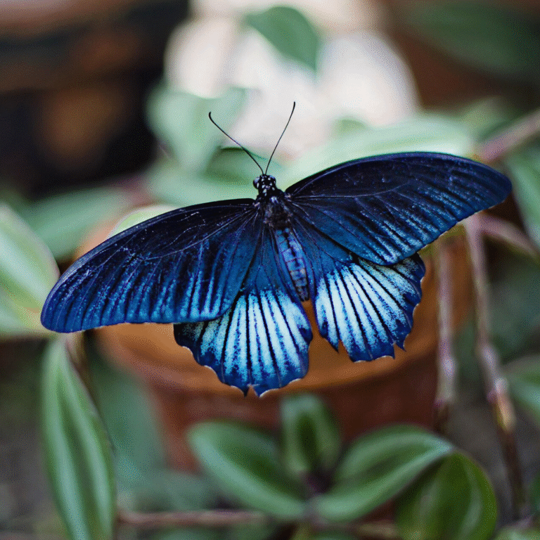 Scenic view of Peradeniya Botanical Garden in Sri Lanka