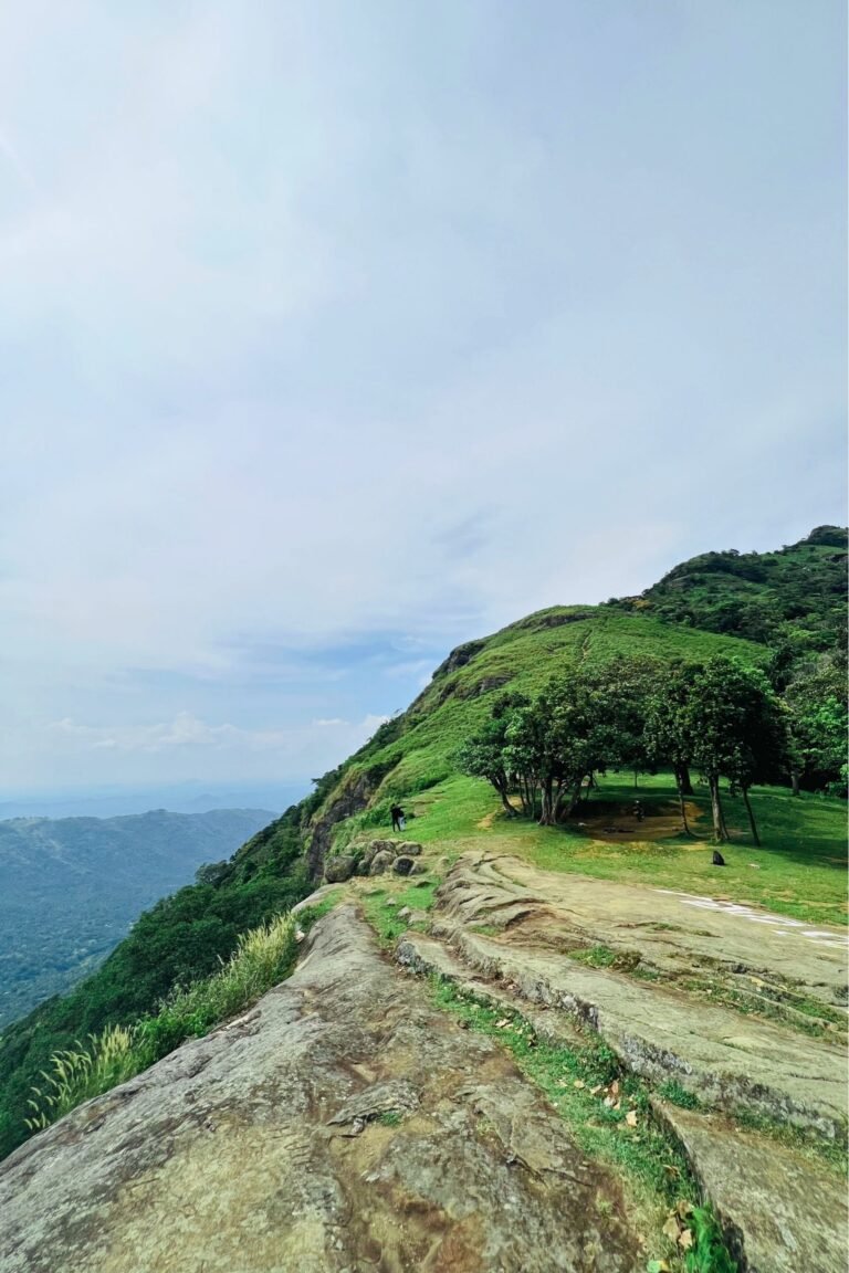 lush green forests surrounding Salagama Mini World’s End