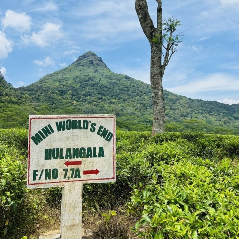 panoramic view of Salagama Mini World’s End in Sri Lanka