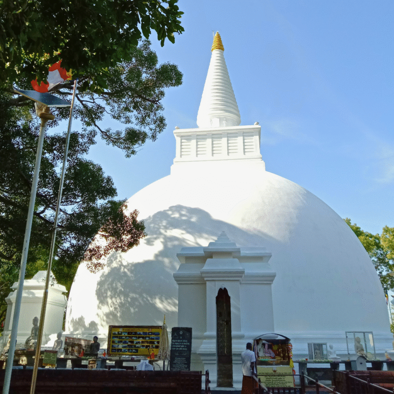 Cultural heritage of Seruwawila Rajamaha Viharaya