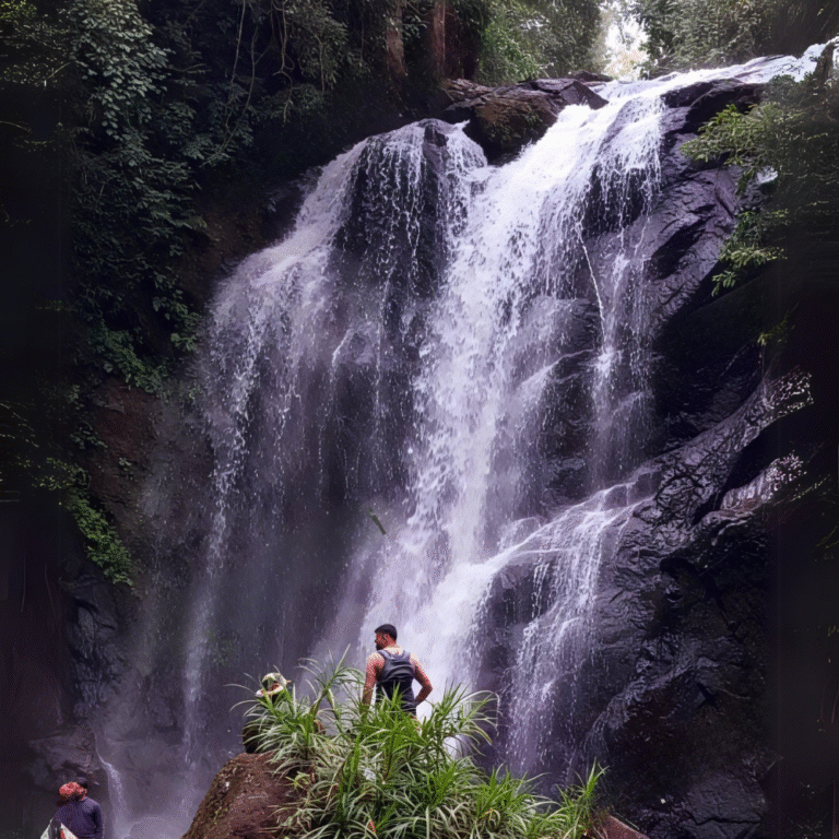 waterfall surrounded by lush jungle in Sinharaja