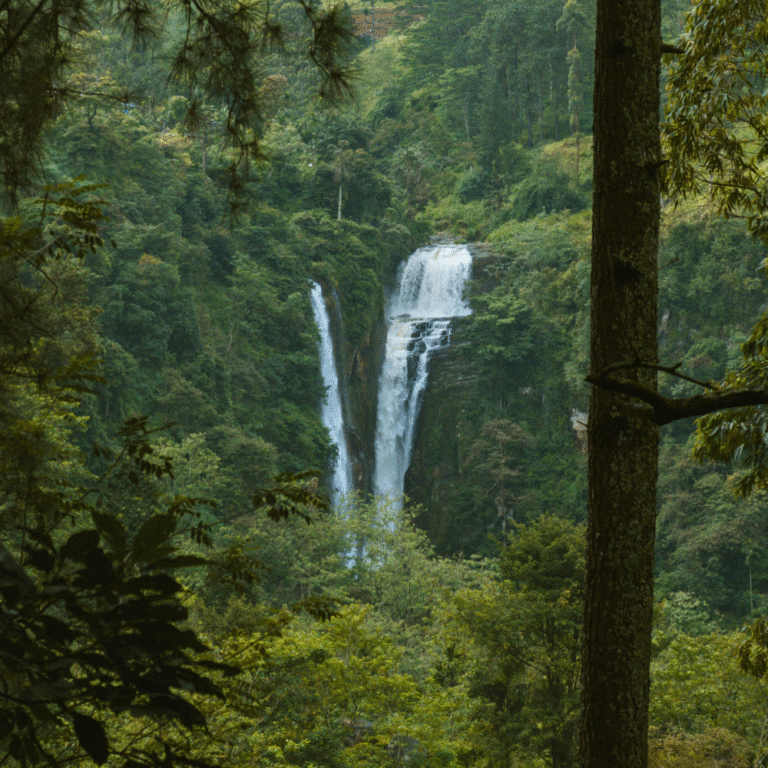 Scenic view of Puna Ella Falls in Sri Lanka