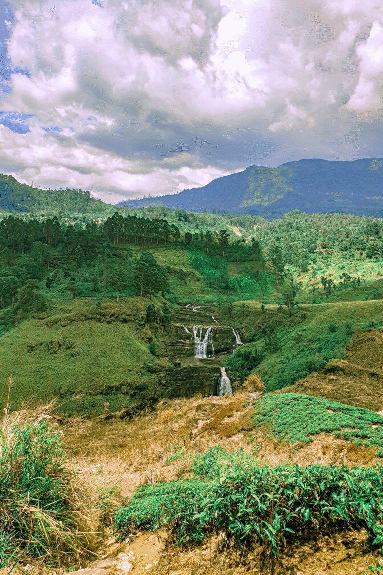 View of St. Clair Falls and surrounding tea estates