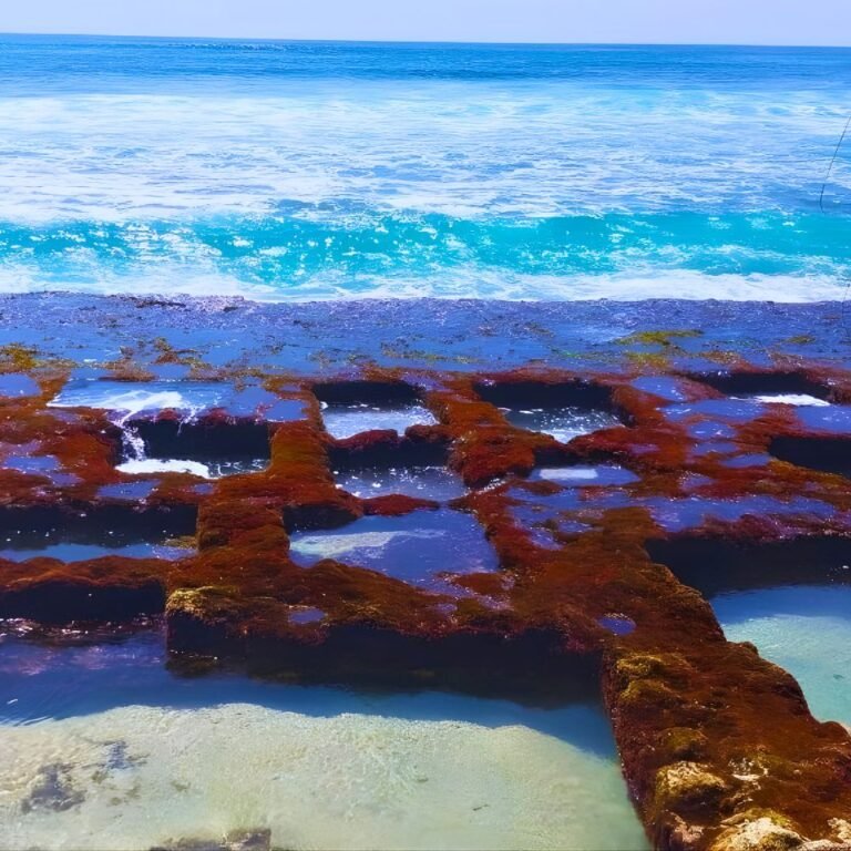 Tropical coastline of Thalpe Beach Sri Lanka under clear blue sky