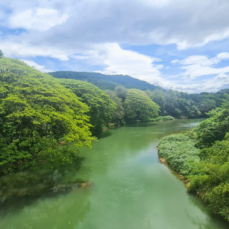 Green landscape around Peradeniya University Sri Lanka