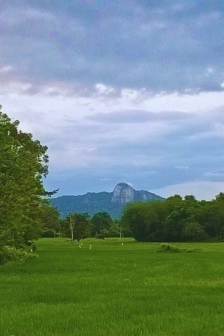 panoramic view of Yakdessagala hill in Sri Lanka