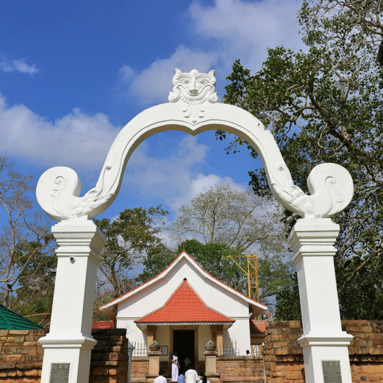 Pilgrims worshipping at Sri Maha Bodhi tree