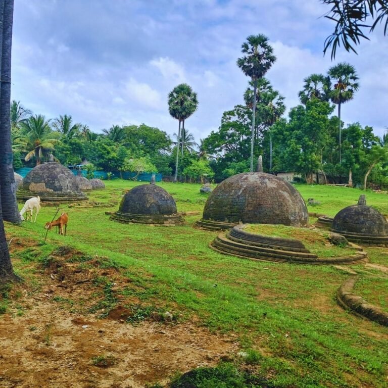 Cultural and historical significance of Kadurugoda temple