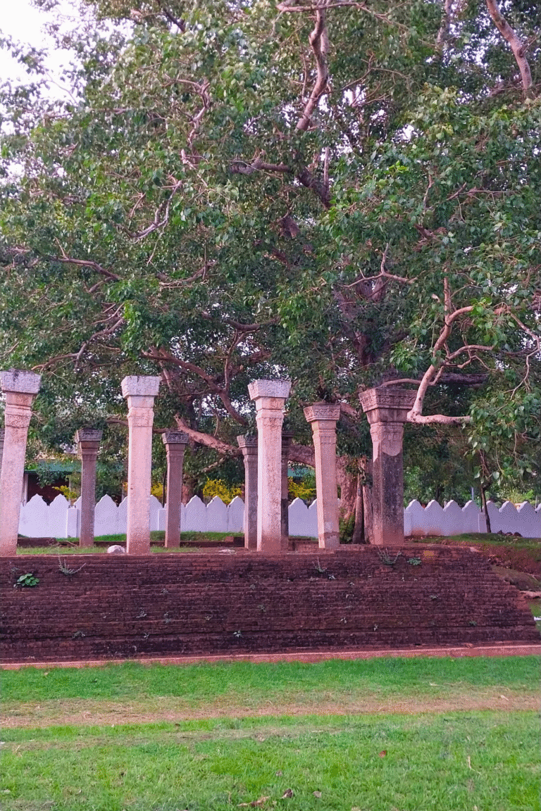 Old stone carvings at Mayura Piriwena temple ruins
