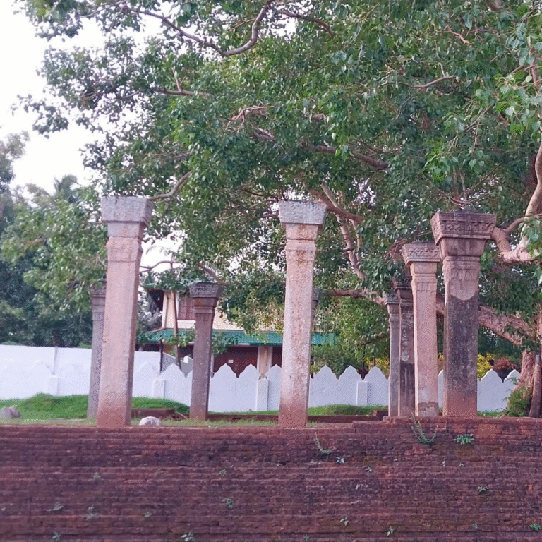 Historic Mayura Piriwena temple remains with stone pillars