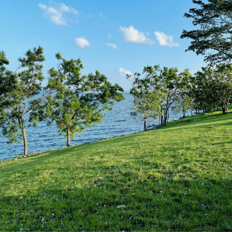 lush greenery surrounding Kala Wewa lake