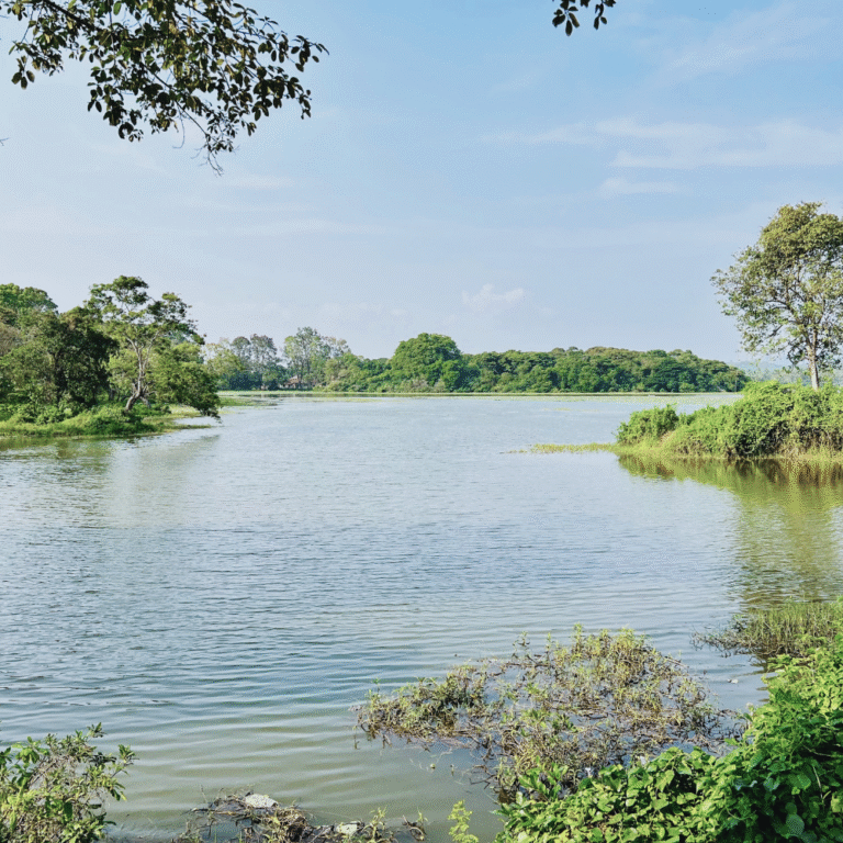 Batalagoda Tank scenic view in Sri Lanka