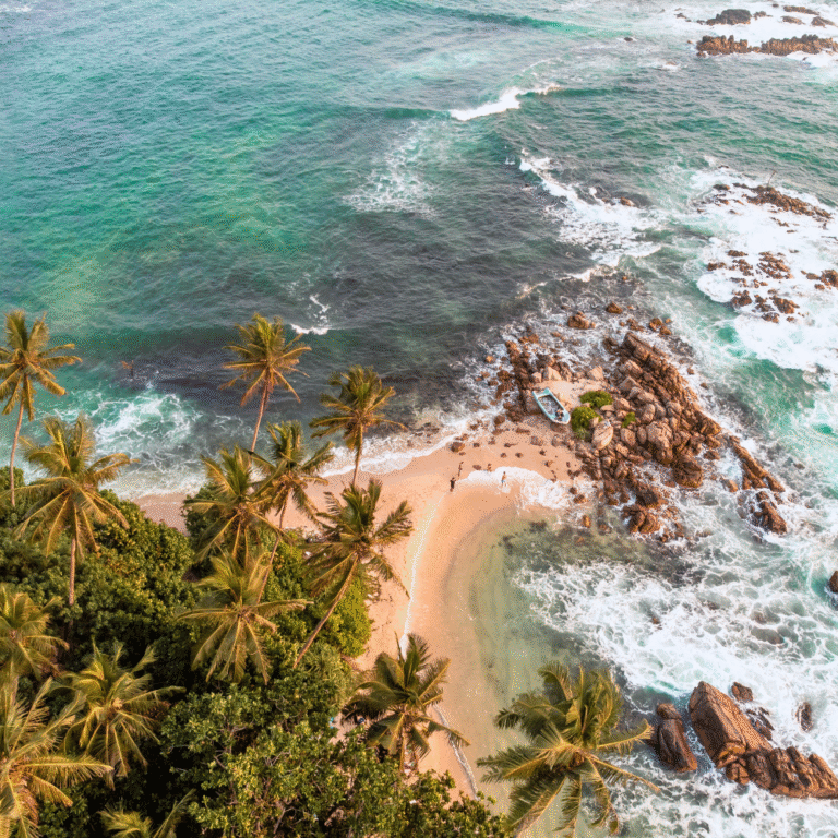 Palm trees and golden sand at Mirissa Secret Beach