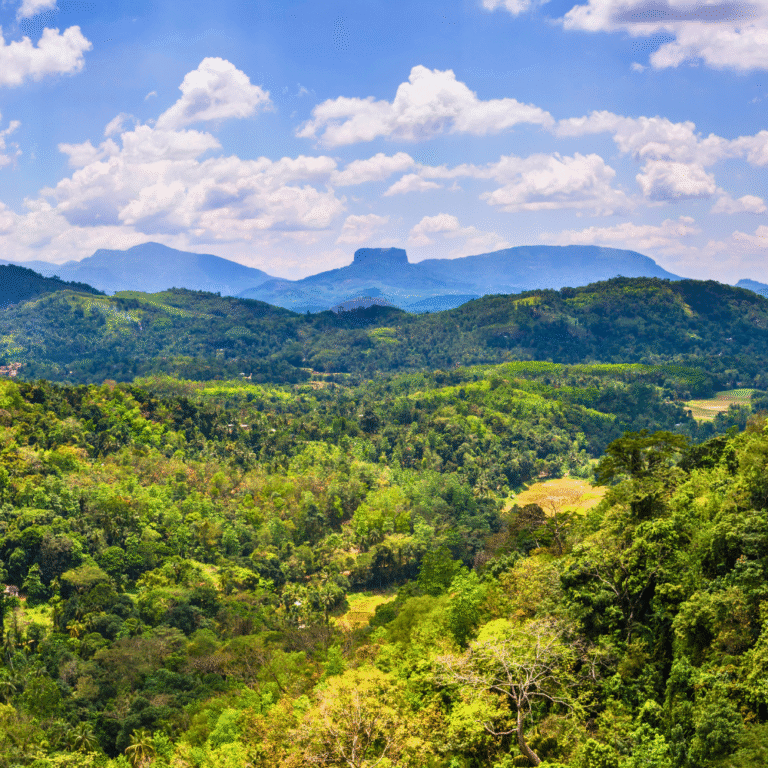 Scenic landscape of Bible Rock surrounded by greenery