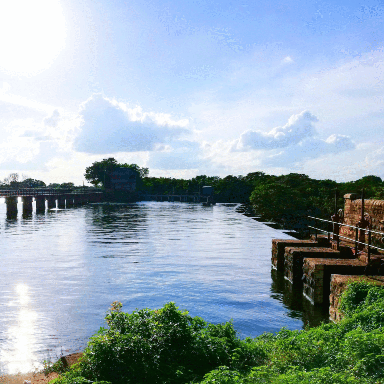 Popular tourist destination Nachchaduwa Wewa in Sri Lanka